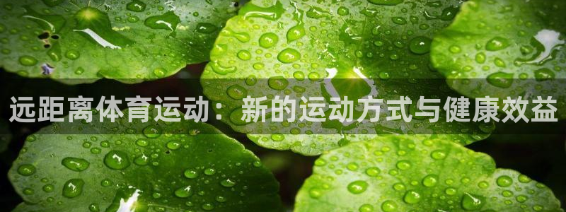 熊猫体育app下载安装：远距离体育运动：新的运动方式与健康效益