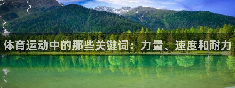 熊猫体育手机版：体育运动中的那些关键词：力量、速度和耐力