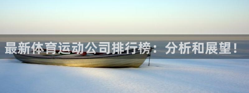 熊猫体育公园价格：最新体育运动公司排行榜：分析和展望！