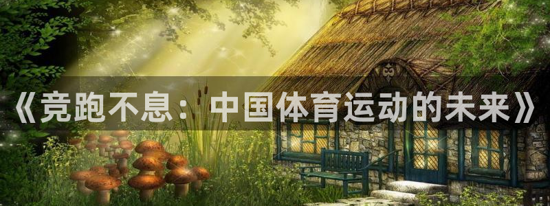 熊猫体育在线：《竞跑不息：中国体育运动的未来》