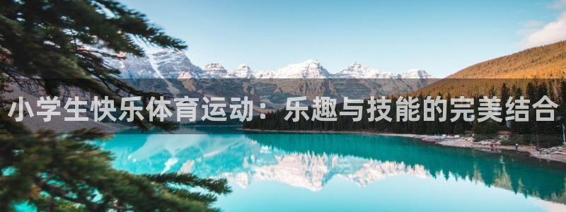 熊猫体育网址：小学生快乐体育运动：乐趣与技能的完美结合