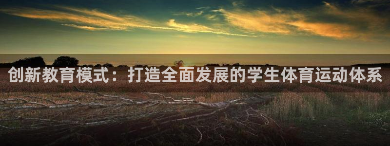熊猫体育文化有限公司：创新教育模式：打造全面发展的学生体育运动体系