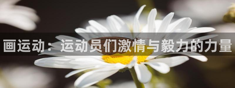 熊猫体育平台官网：画运动：运动员们激情与毅力的力量