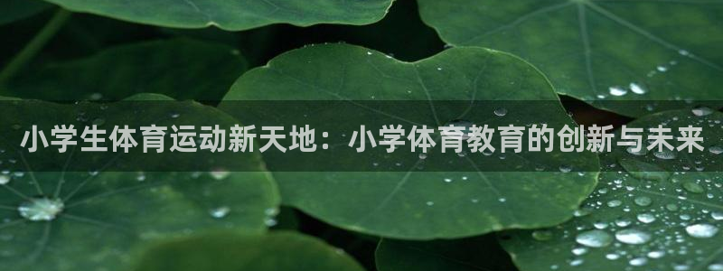 成都金熊猫体育：小学生体育运动新天地：小学体育教育的创新与未来