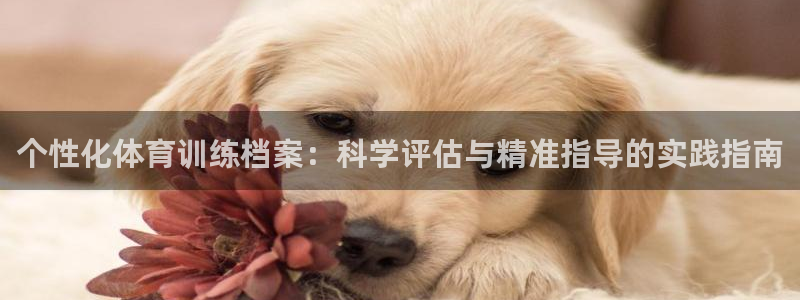 熊猫体育官方网站：个性化体育训练档案：科学评估与精准指导的实践指南
