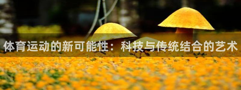 熊猫体育直播nba：体育运动的新可能性：科技与传统结合的艺术