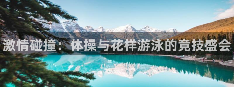 动感熊猫体育公园：激情碰撞：体操与花样游泳的竞技盛会