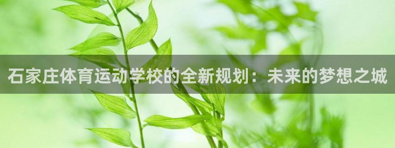 熊猫体育公园：石家庄体育运动学校的全新规划：未来的梦想之城
